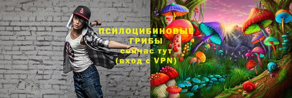 MESCALINE Алзамай