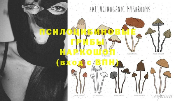 MESCALINE Алзамай