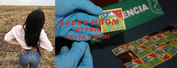 ПСИЛОЦИБИНОВЫЕ ГРИБЫ Арсеньев