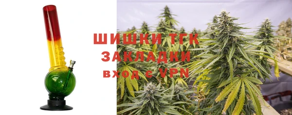 прущие крисы Аркадак