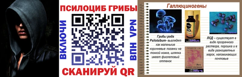 blacksprut ссылки  Ликино-Дулёво  Псилоцибиновые грибы GOLDEN TEACHER 